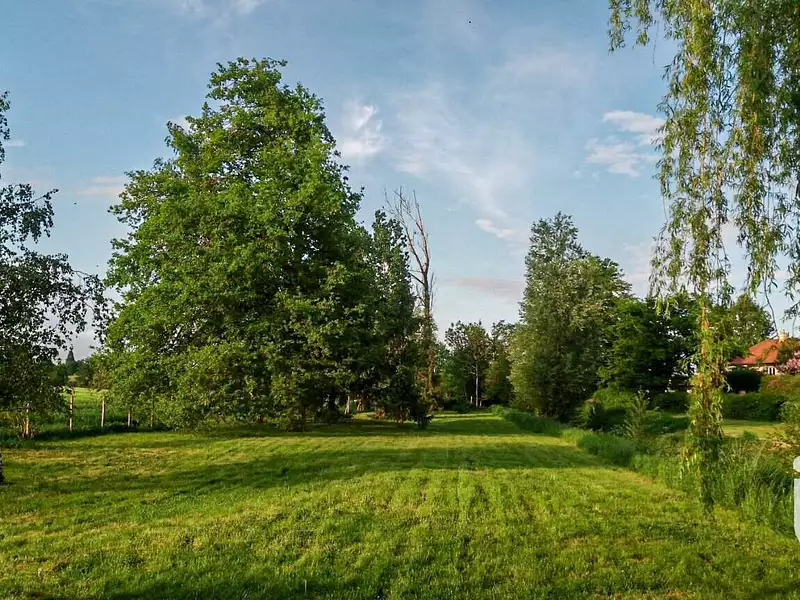 Terrain, 2 500 m²