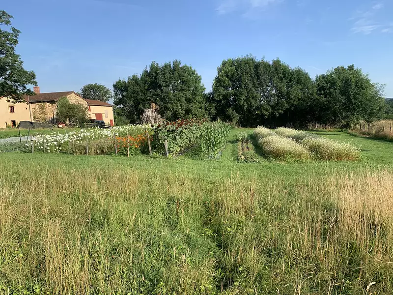 Maison, 218 m²