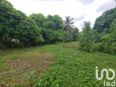 Terrain, 1 196 m²