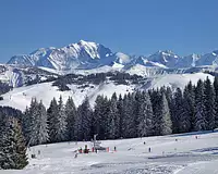 Appartement, 55,09 m²