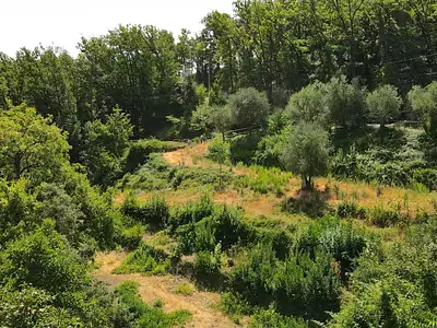 Terrain, 1 539 m²