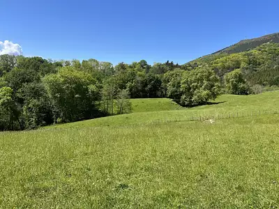 Terrain, 3 679 m²