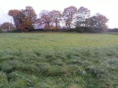 Terrain, 3 134 m²