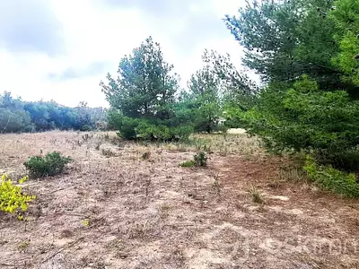 Terrain, 1 350 m²