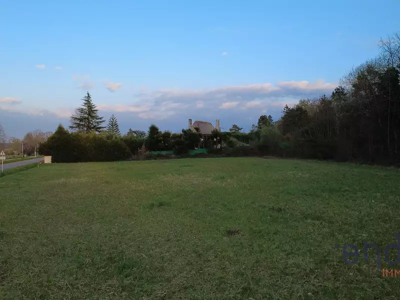 Terrain, 7 323 m²
