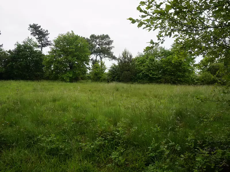 Terrain, 2 604 m²