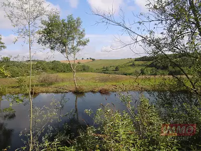 Terrain, 70 000 m²