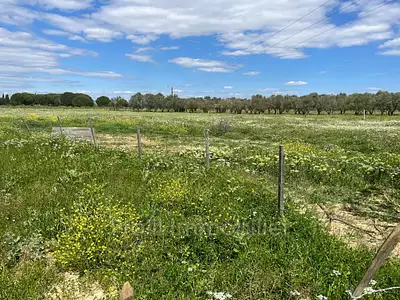 Terrain, 3 984 m²