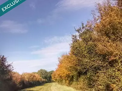 Terrain, 697 767 m²