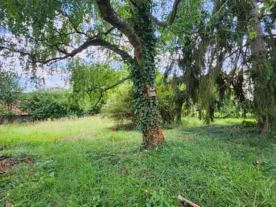 Terrain, 514 m²