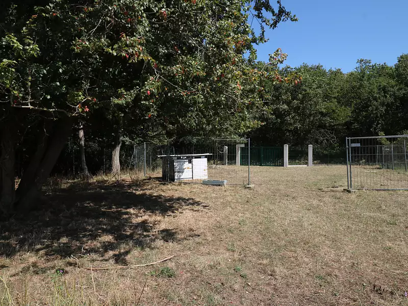 Terrain, 7 747 m²