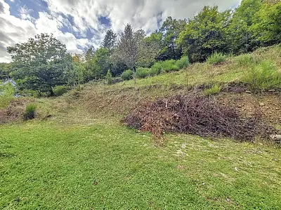Terrain, 1 429 m²