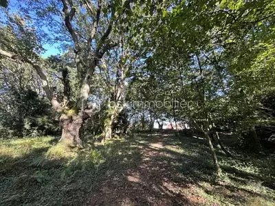 Maison, 200 m²