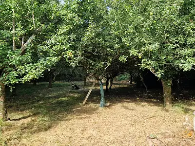 Maison, 145 m²