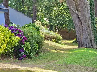 Maison, 57,5 m²