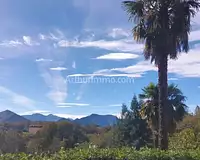 Appartement, 81,39 m²