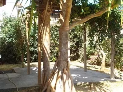 Maison, 99 m²