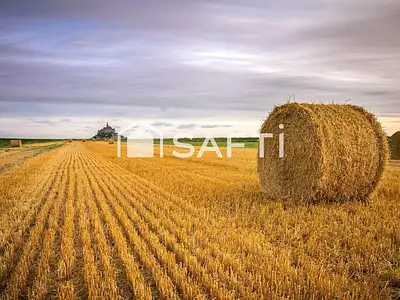 Terrain, 240 070 m²