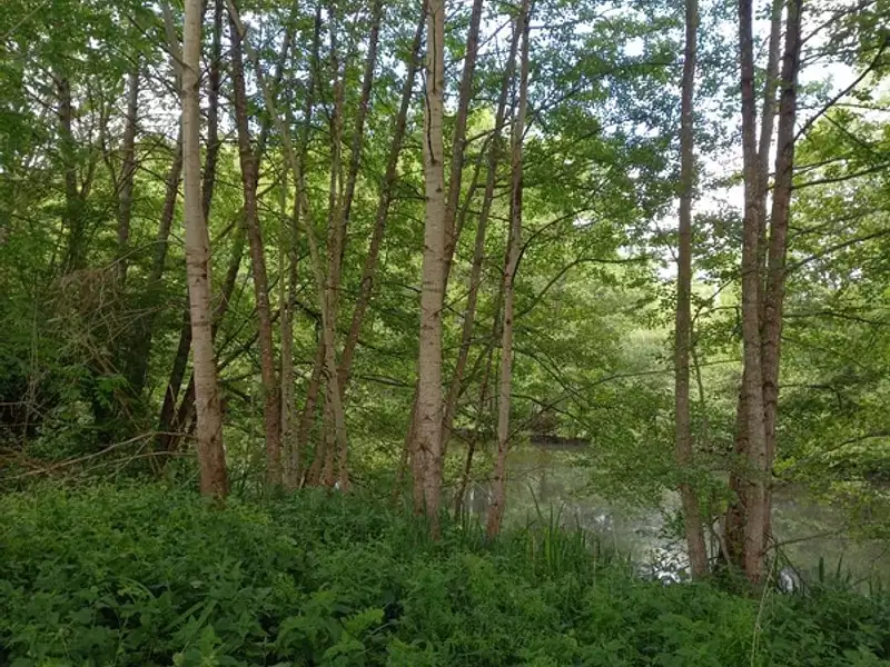 Terrain, 405 m²