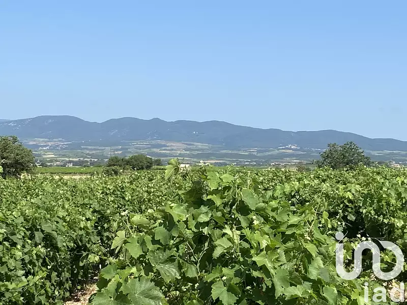 Terrain, 58 175 m²