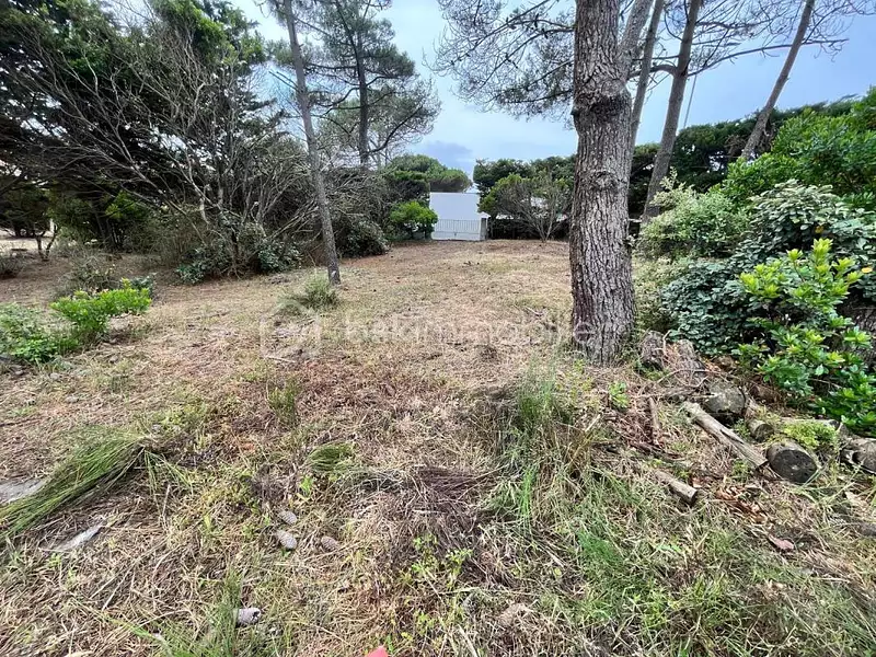 Terrain, 461 m²