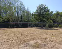 Terrain, 1 384 m²