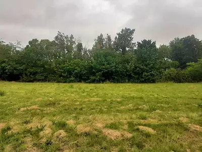 Terrain, 811 m²