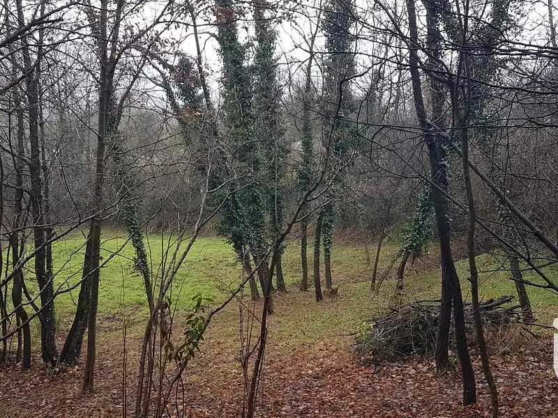 Terrain, 4 056 m²