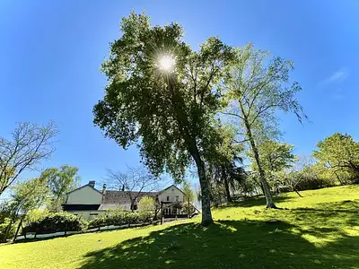 Maison, 491 m²