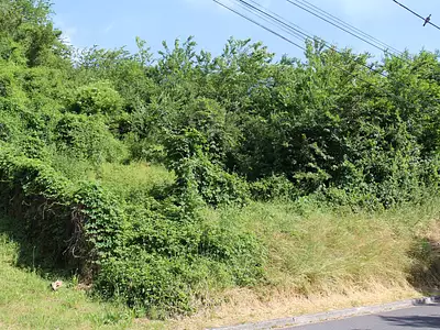 Terrain, 1 290 m²