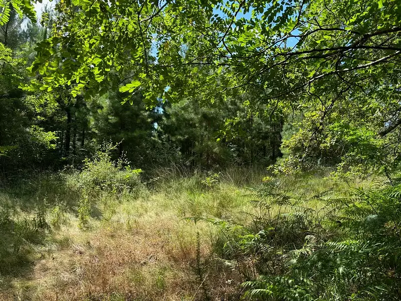 Terrain, 162 066 m²