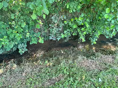 Terrain, 14 000 m²