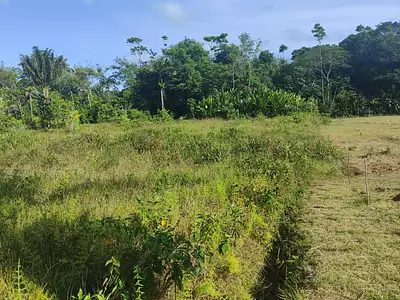 Terrain, 930 m²