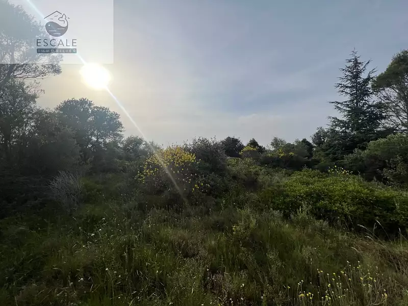 Terrain, 6 091 m²