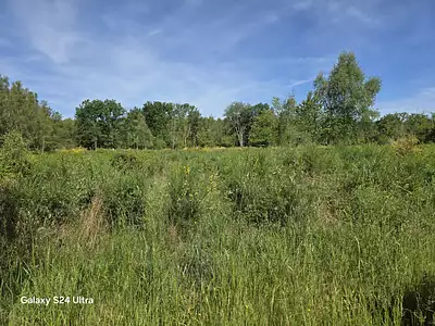 Terrain, 231 782 m²