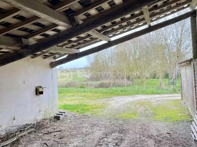 Maison, 300 m²