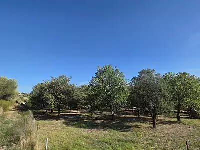 Terrain, 1 490 m²