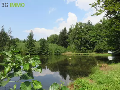 Terrain, 4 560 m²