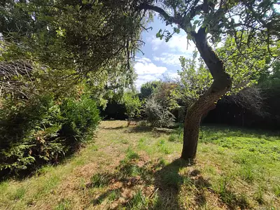 Terrain, 1 000 m²
