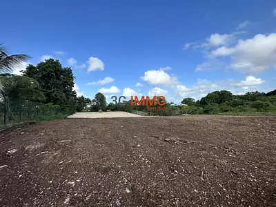 Terrain, 6 389 m²