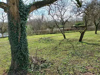 Terrain, 532 m²
