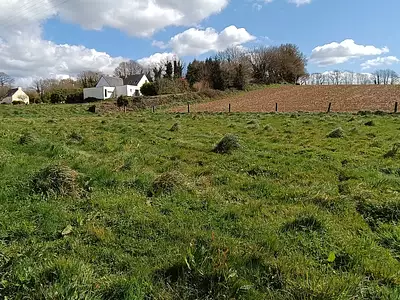 Terrain, 1 265 m²
