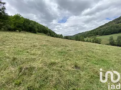 Terrain, 2 519 m²