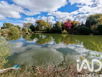 Terrain, 113 246 m²