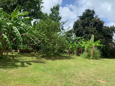 Terrain, 605 m²