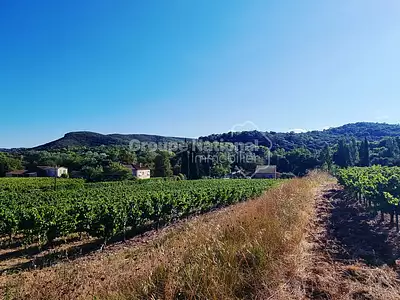 Terrain, 1 537 m²