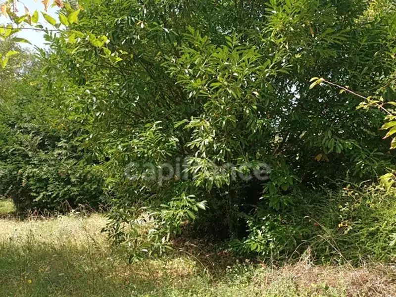 Terrain, 836 m²