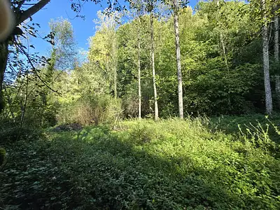 Maison, 23,65 m²