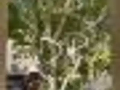 Appartement, 35,81 m²