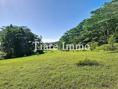 Terrain, 800 m²